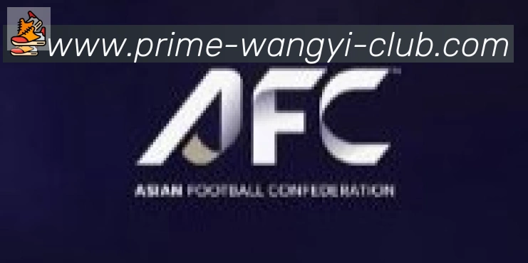 网易体育合作伙伴